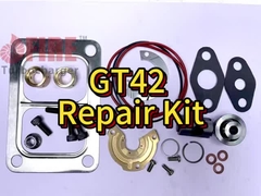 Kit de Reparo GT42